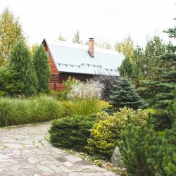 Дизайн дачного участка в Завидово фото